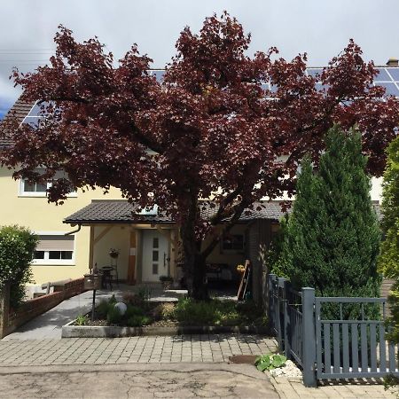 Apartmentvermietung Ingrid Bolkart - Landleben 6 Illertissen Exteriör bild